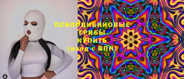 мдпв Балахна