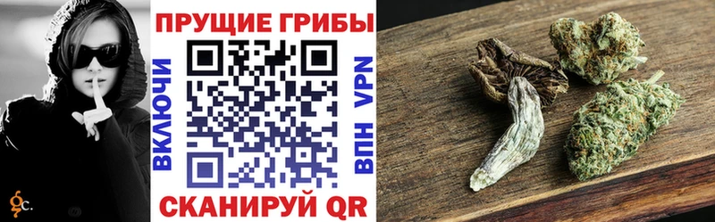Галлюциногенные грибы Cubensis  сколько стоит  Солнечногорск 